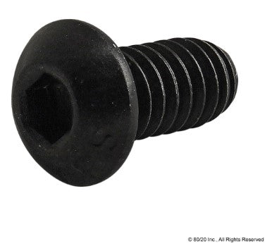 BHCS 1/4-20 X 1/2" BLACK
