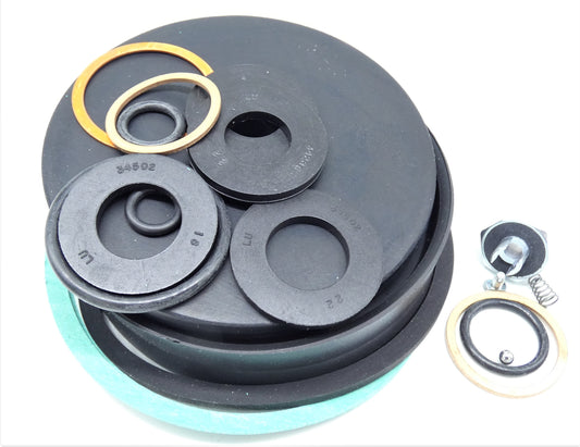 LINCOLN PUMP REPAIR KIT 252715 (soft kit for 83800)