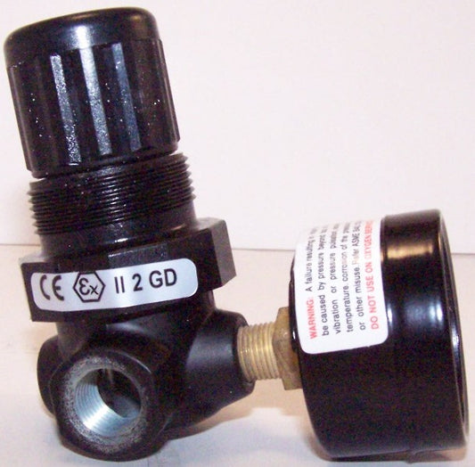 NORGREN MINI 1/4" W/GAUGE