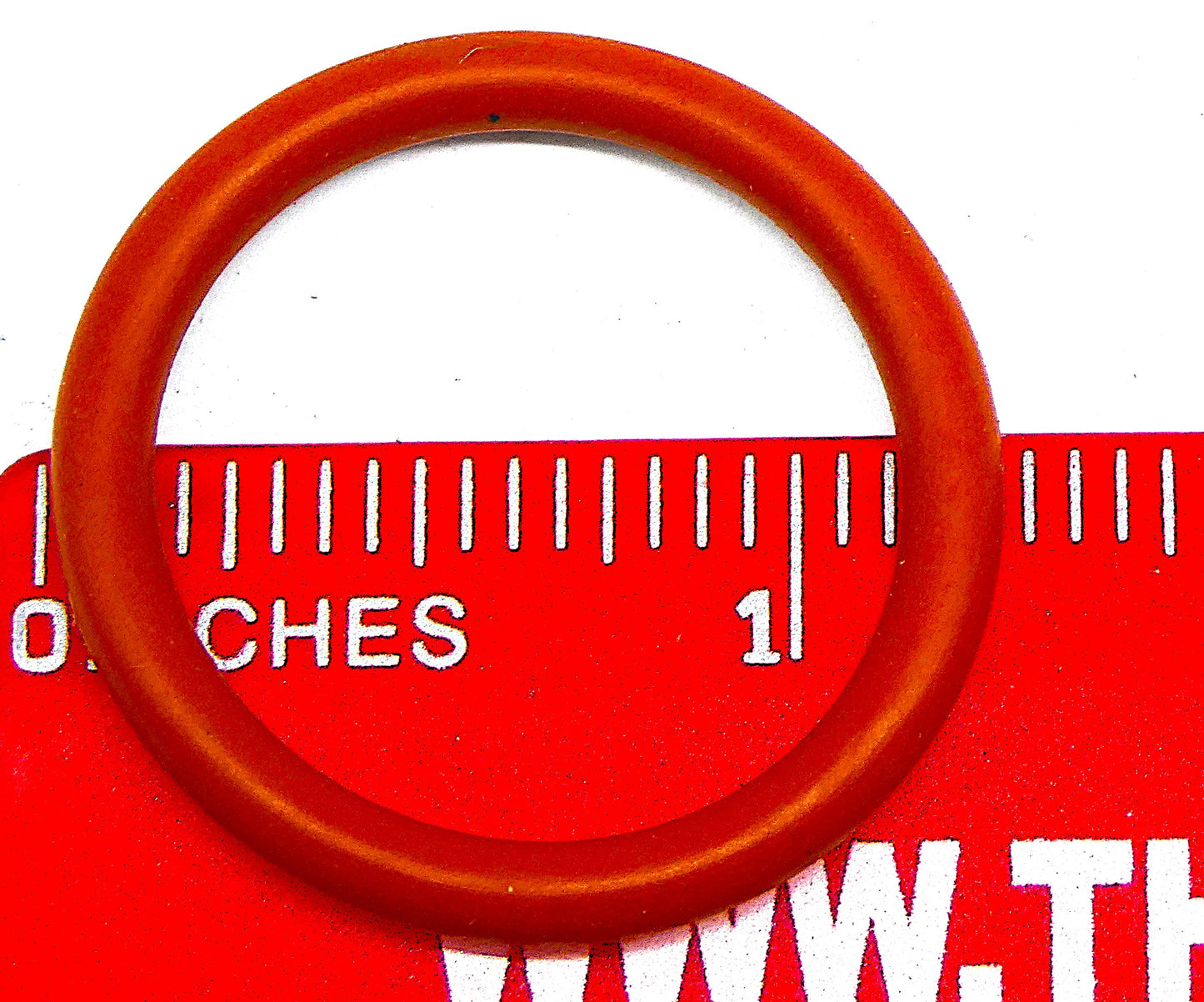 O-RING LAPEER CLAMP CYL.  SILICONE